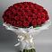 Букет 101 Красная роза Блэк Мэджик в Верхней Хаве
