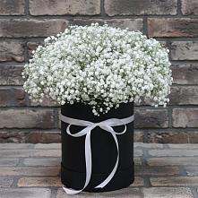 Цветочная композиция из Гипсофила в шляпной коробке в Верхней Хаве