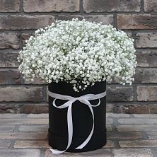 Цветочная композиция из Гипсофила в шляпной коробке в Верхней Хаве