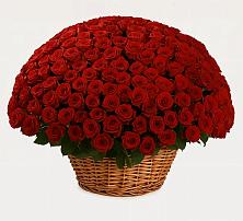 Премиум букет из: Розы в Верхней Хаве